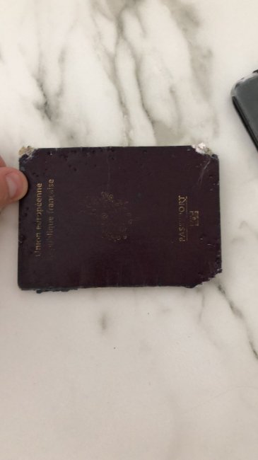 Паспорт Киошимы сгрызла собака