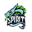 Team Spirit пригласили на китайский LAN с Invictus Gaming