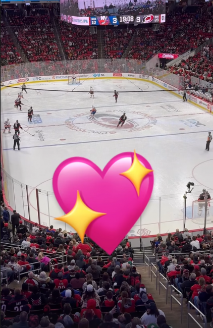 Стримерша Jennalynnmeowri посетила матч НХЛ: «Ненавижу маскота «Каролины». Что это?»