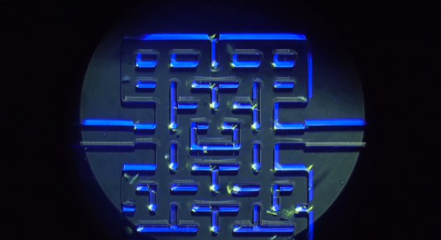 Норвежские ученые заставили одноклеточных инфузорий играть в Pac-Man
